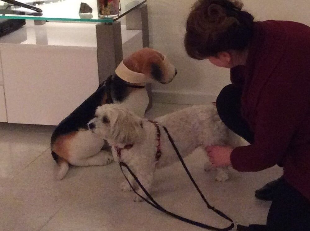 Moniek met een hond