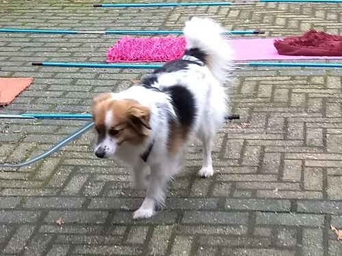 Foto van Fons