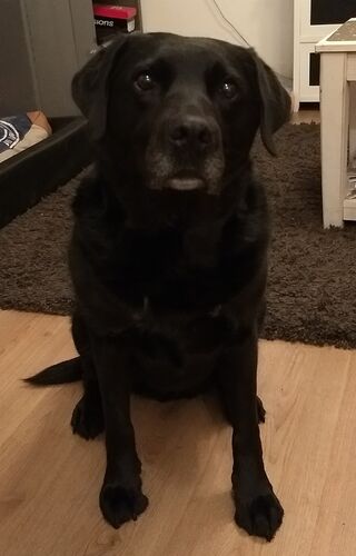 Foto van Quincy