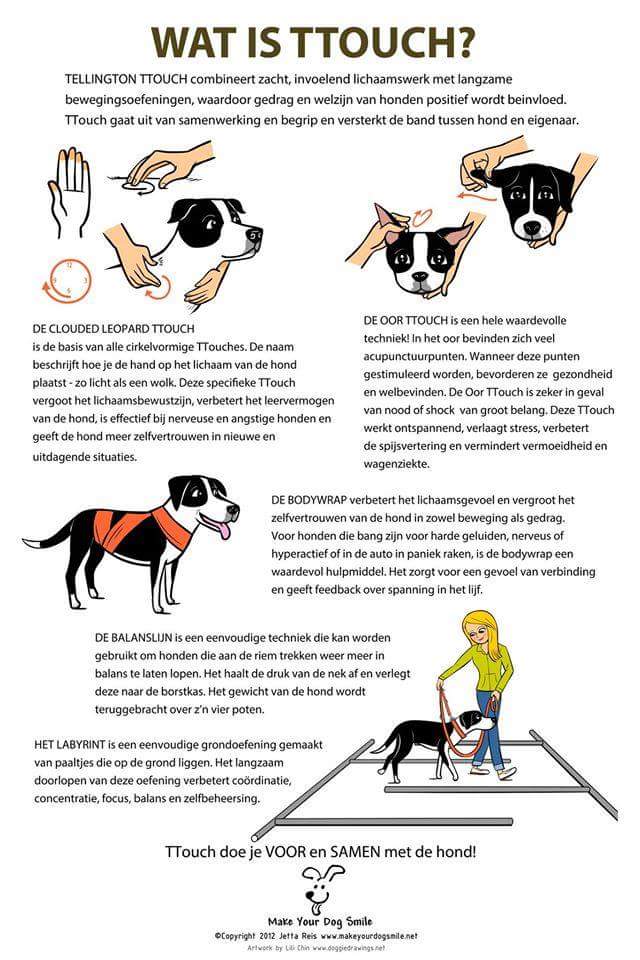 Meer uitleg over TTouch